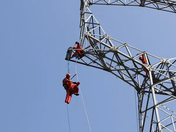 Power Utility Repairing